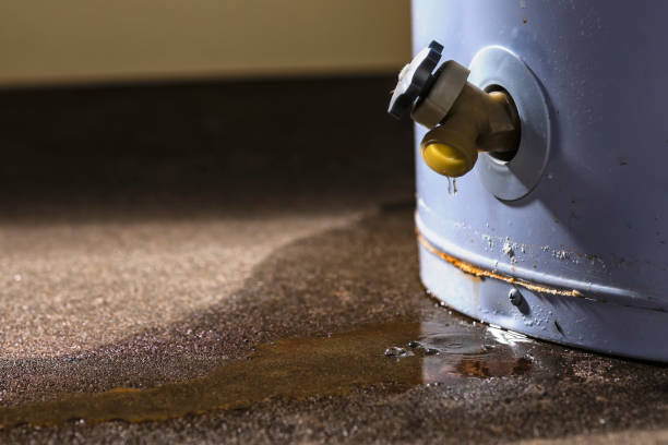 Best Emergency water extraction  in Portola, CA
