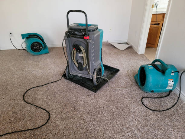 Best Carpet water damage restoration  in Portola, CA