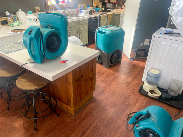 Best Fire Damage Restoration  in Portola, CA