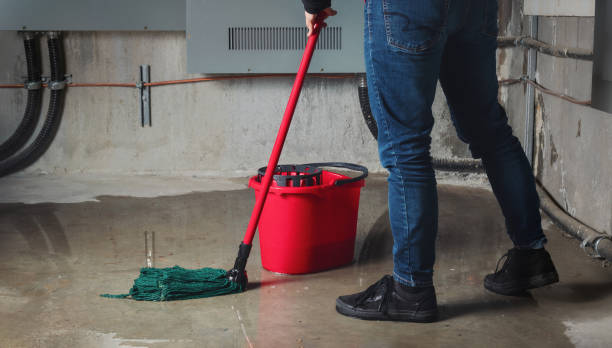 Best Mold removal after water damage  in Portola, CA