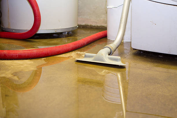 Best Ceiling water damage repair  in Portola, CA