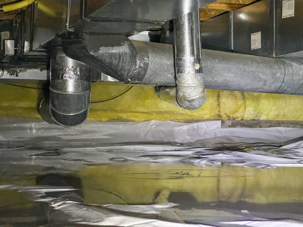 Best Local water damage restoration  in Portola, CA