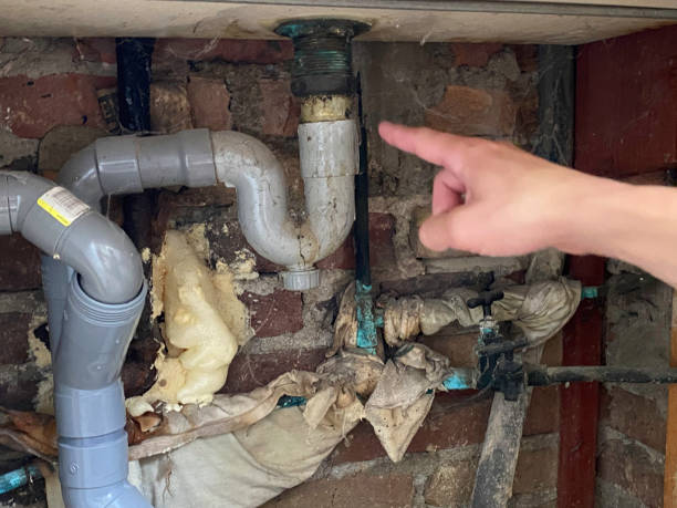 Best Basement water damage restoration  in Portola, CA