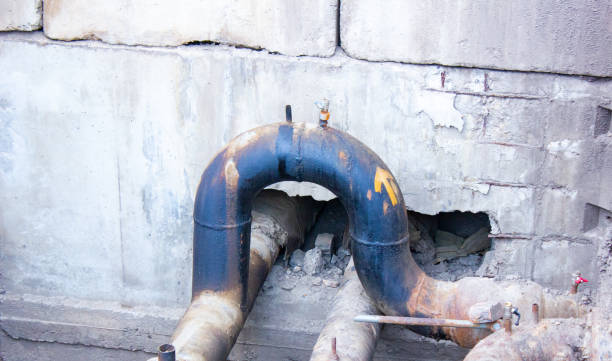 Best Water damage repair service  in Portola, CA