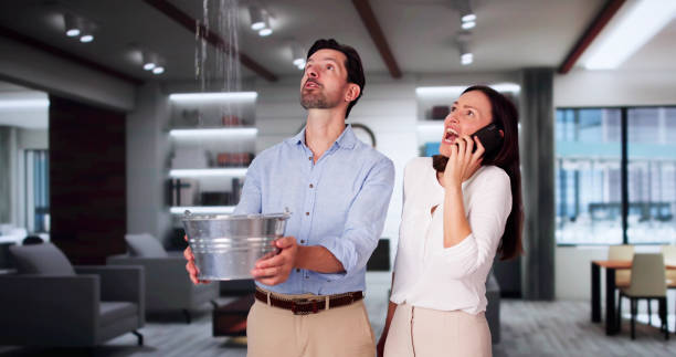 Trusted Portola, CA Water damage restoration Experts